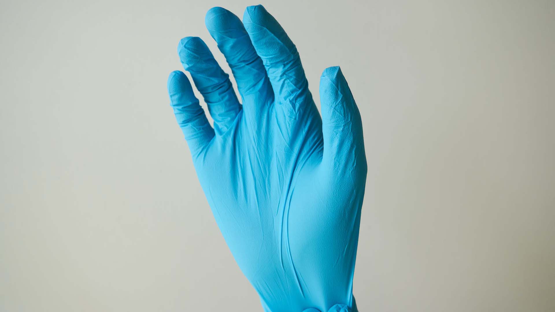 right hand of a person donned with blue latex gloves