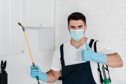 Best Disposable Gloves for Pest Control