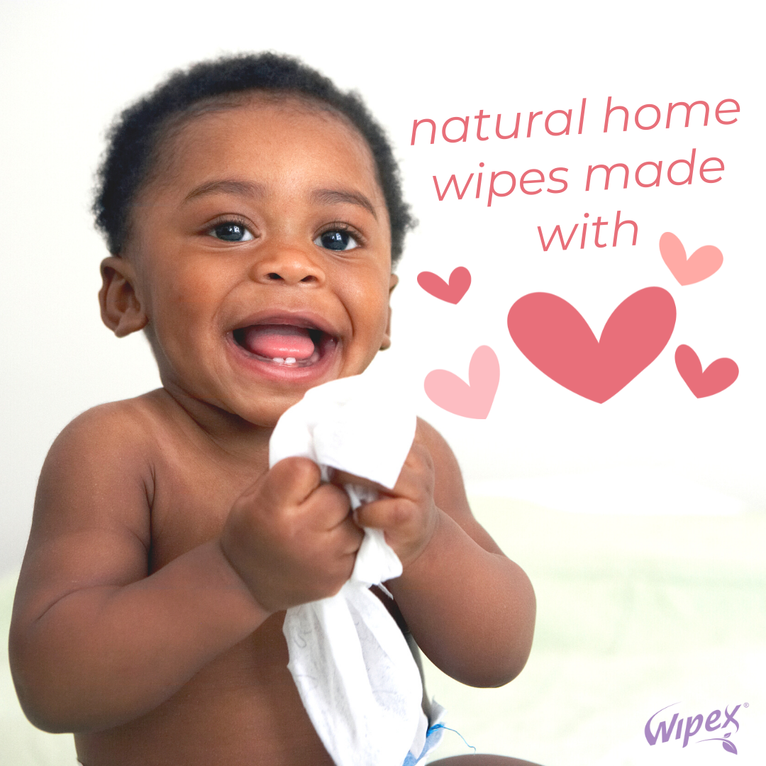 Plant-Based Home Cleaning Full Set | Wipes for Surfaces, Screens, & Floors
