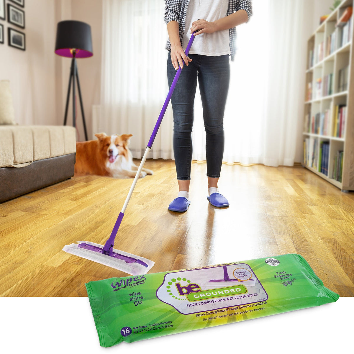 Plant-Based Home Cleaning Full Set | Wipes for Surfaces, Screens, & Floors