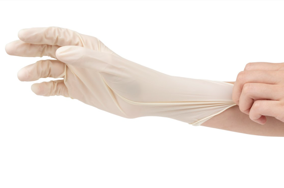 Latex Gloves (Powder Free) - Gloves.com