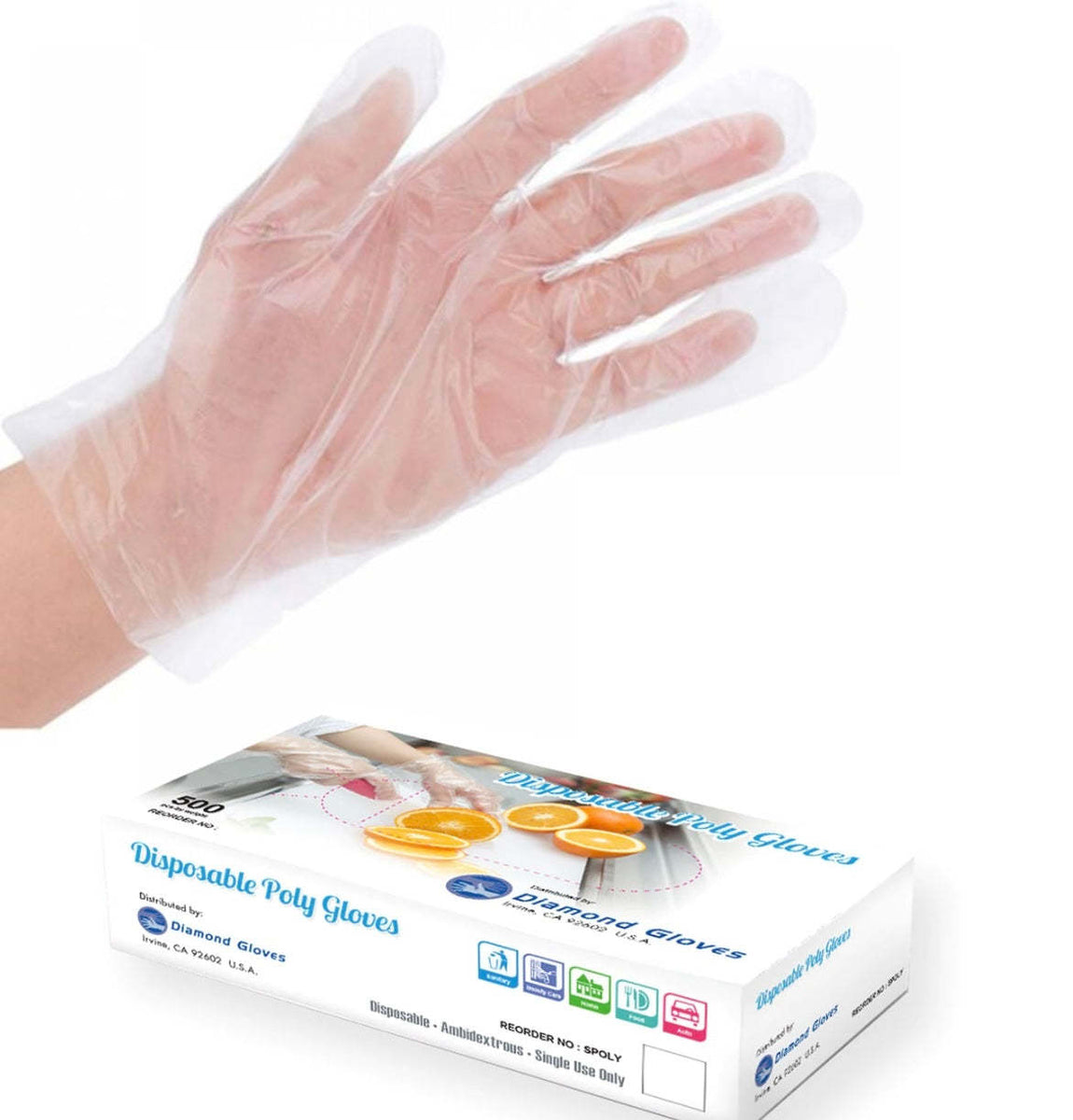1 box of Poly Gloves, when worn in the hand.
